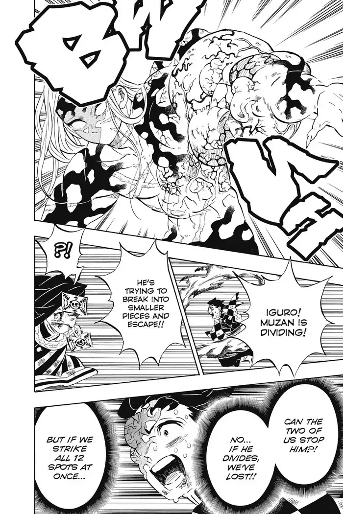 Demon Slayer Chapter 196 image 16_optimized
